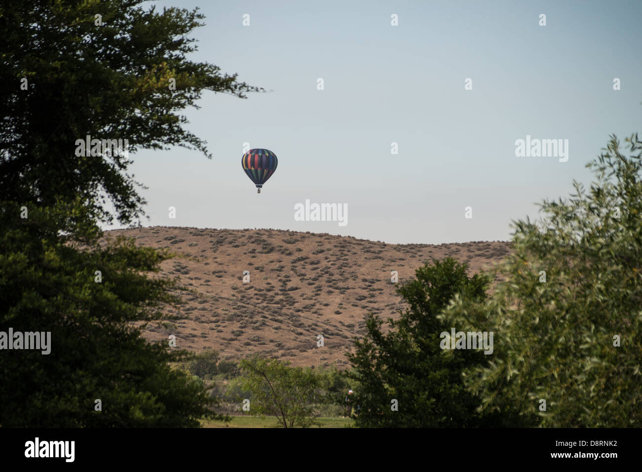 Colorful hot air balloons in flight over wine country at the Temecula