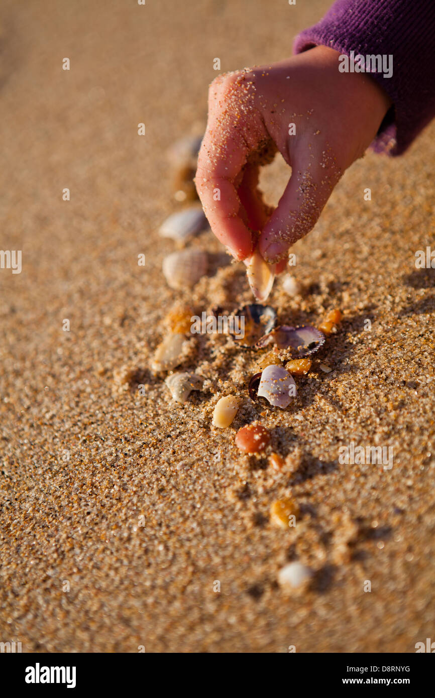 Girl playing with shells hi-res stock photography and images - Alamy