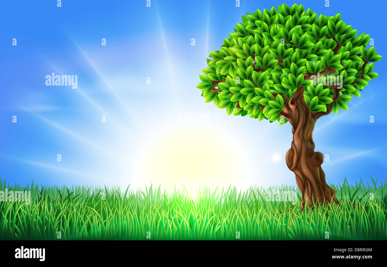 A background illustration of a field of green grass on a spring or summers day with a sun rise or sun set and green tree. Stock Photo