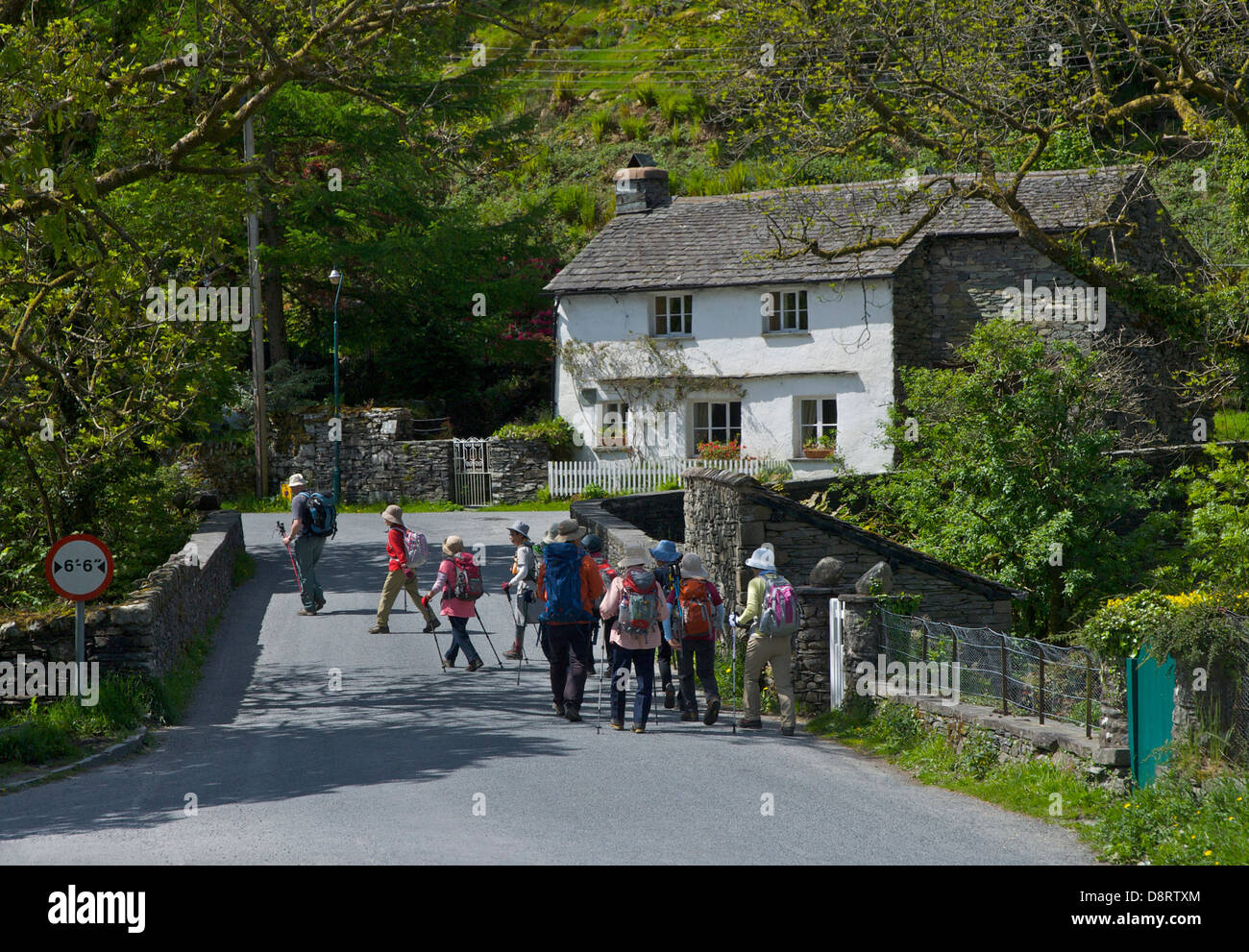 Japanese visitors walking through the village of Elterwater, Langdale, Lake District National Park, Cumbria, England UK Stock Photo