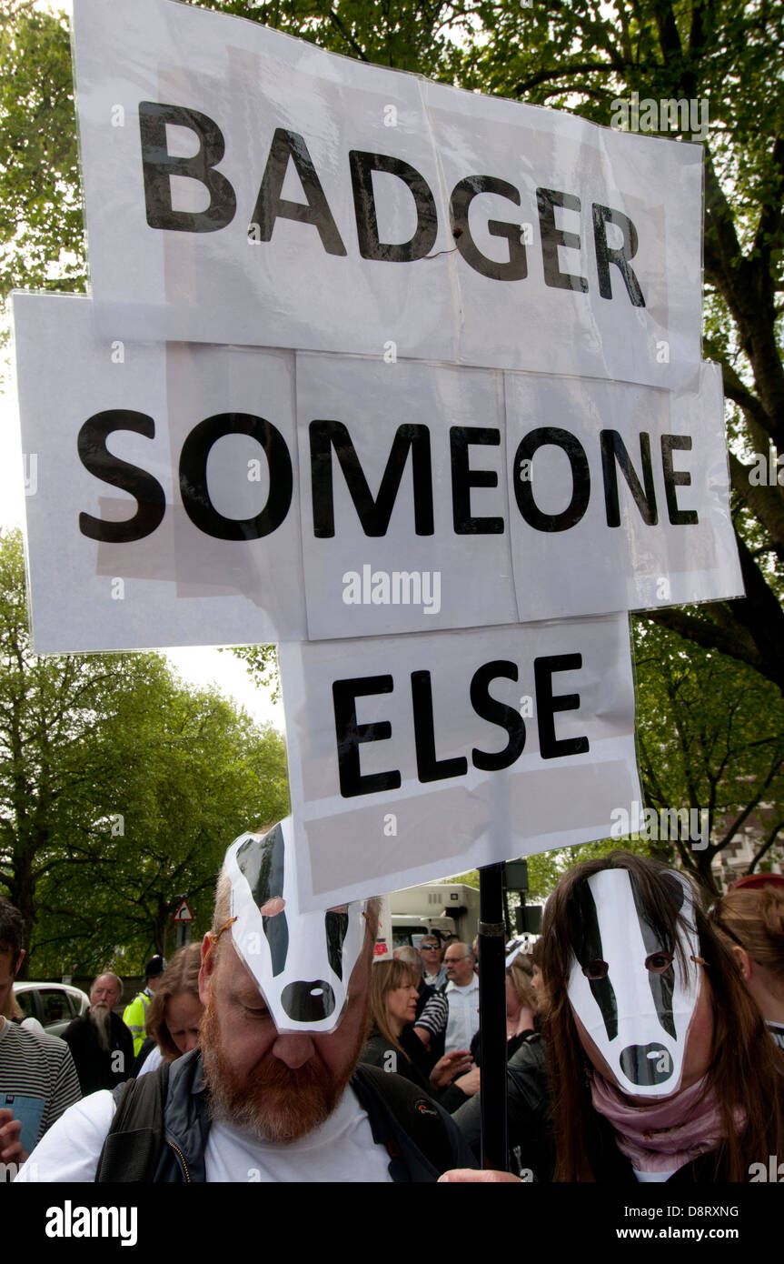 Protest against the proposed cull of badgers .A couple hold a placard which says 'Badger Someone Else'. Stock Photo