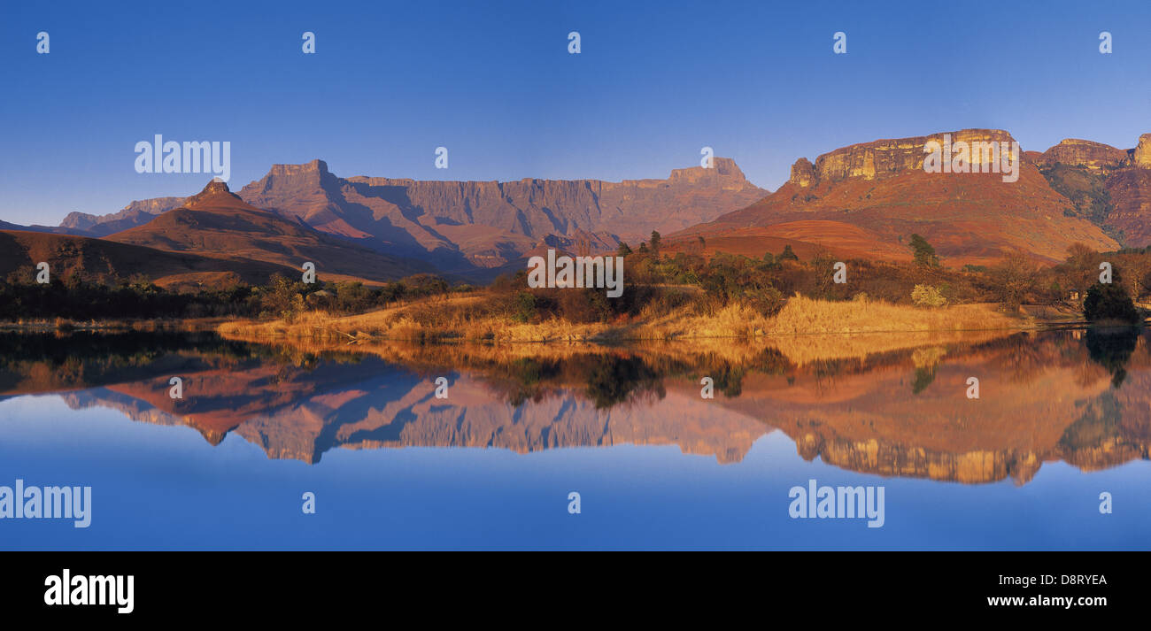 Amphitheatre ast sunrise, Northern Drakensberg, KwaZulu-Natal, South Africa Stock Photo
