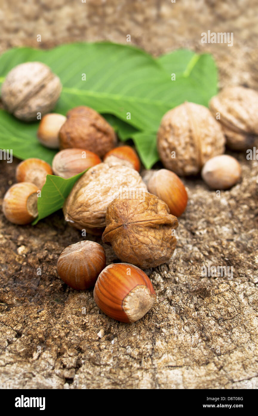Walnuts and hazelnut on old wooden table. Selective focus with shallow depth of field. Stock Photo