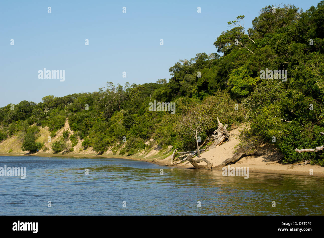 lagoon-on-the-mlalazi-river-umlalazi-nature-reserve-mtunzini-south