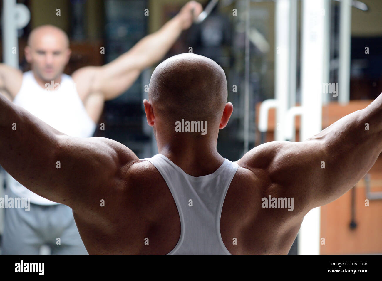 bodybuilder in gym Stock Photo
