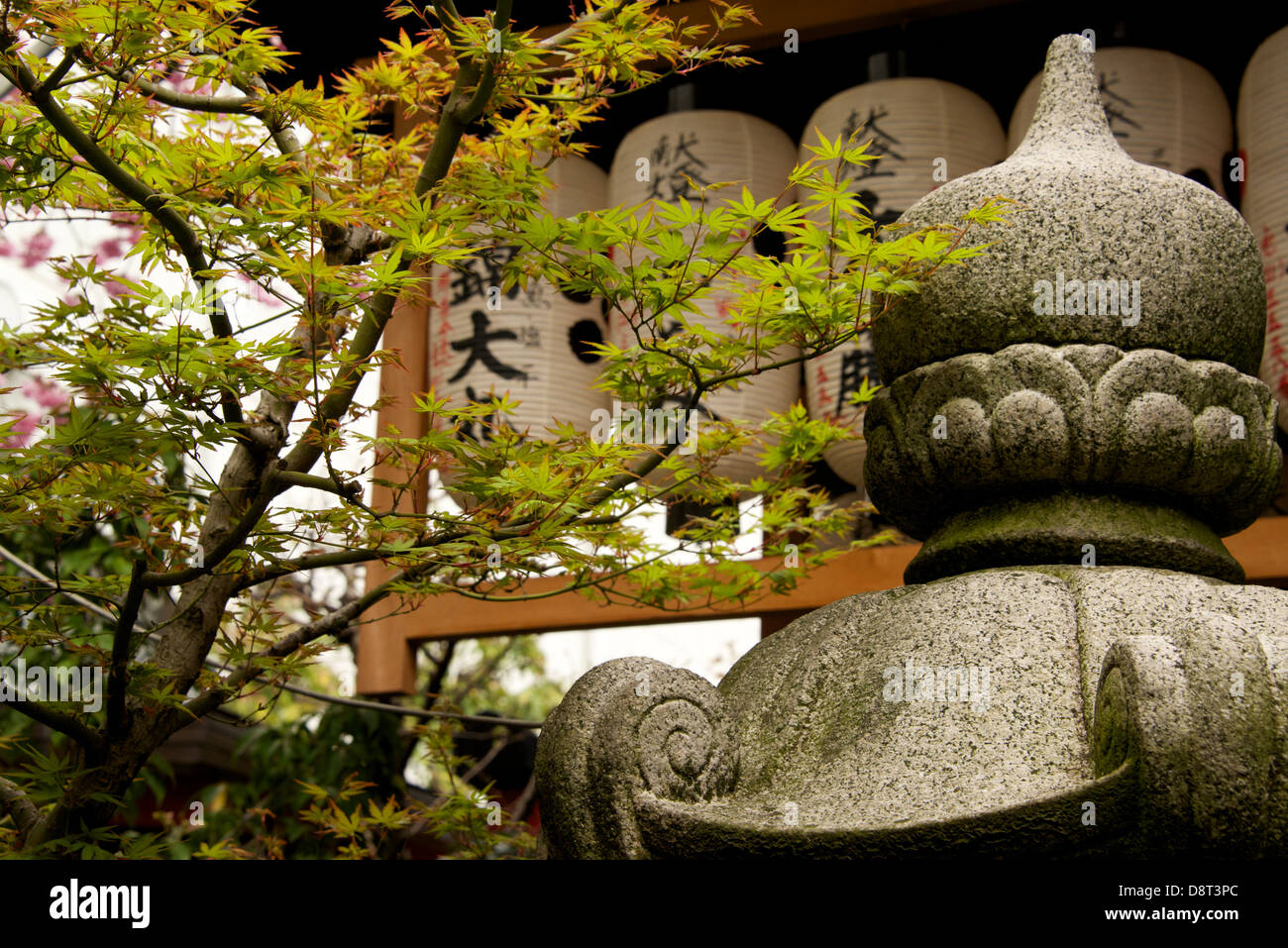 Japanese lanterns in Japanese garden, Japan Stock Photo Alamy