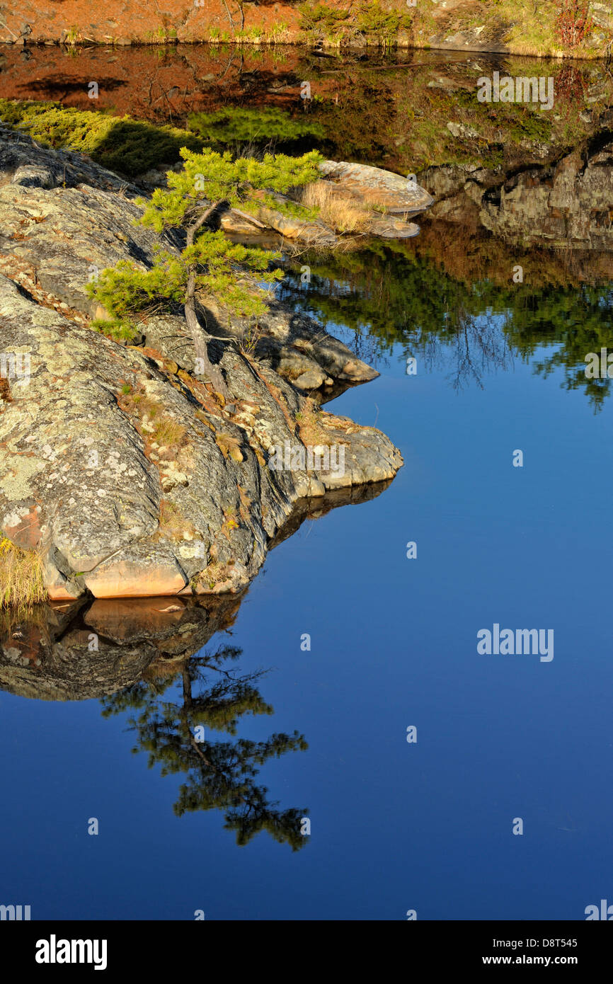 Granites and pines reflected in a small pond Whitefish Falls Ontario