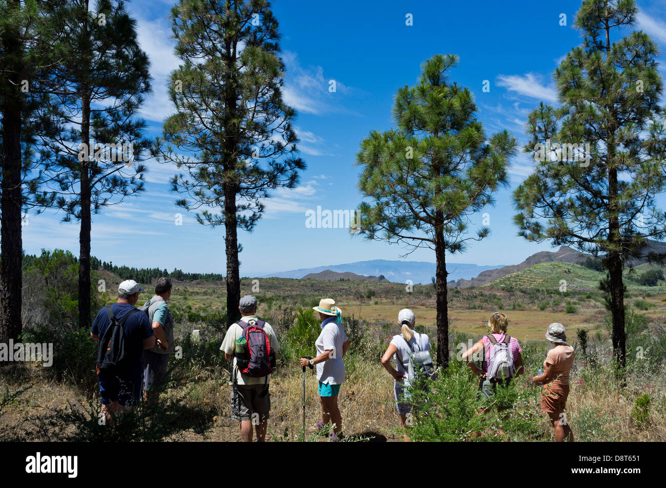 A group of walkers stop to admire the view on a clear day, looking from the pine forest near Erjos out to La Gomera. Tenerife, Stock Photo