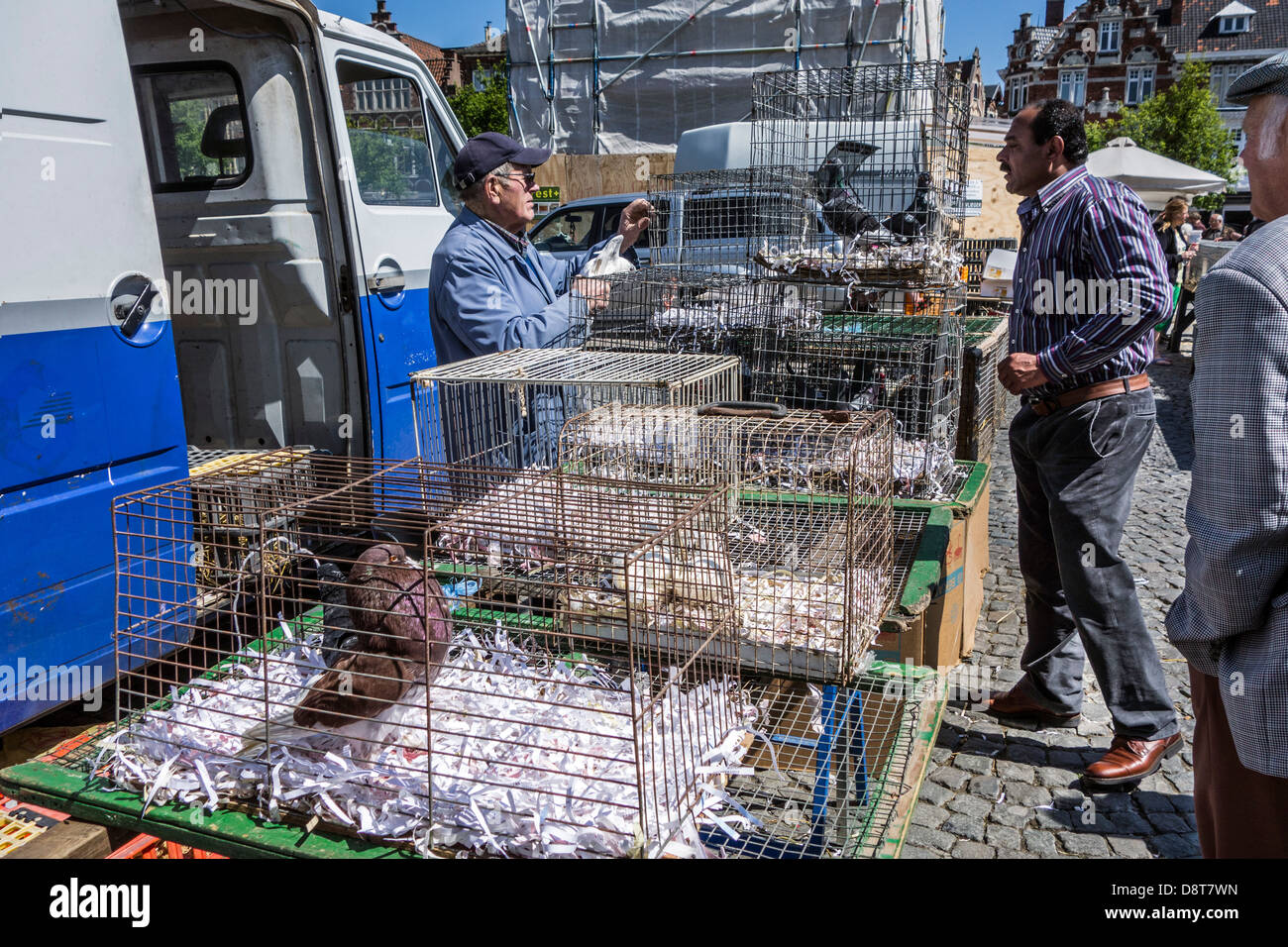 Stallholder at poultry stand selling chickens in cages to immigrant at domestic animal market in Europe Stock Photo