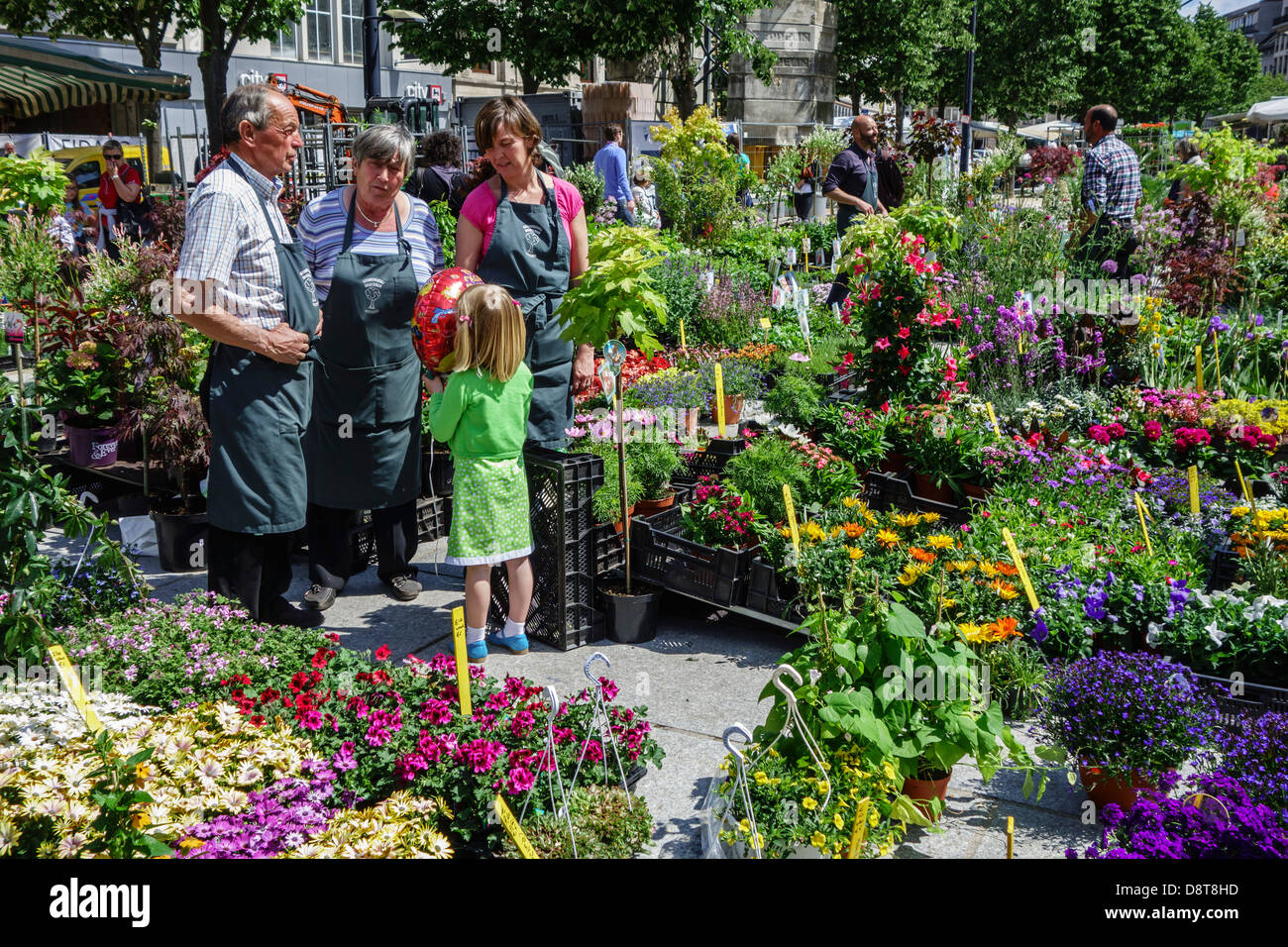 Stallholders selling colourful flowers at stand at the flower market on