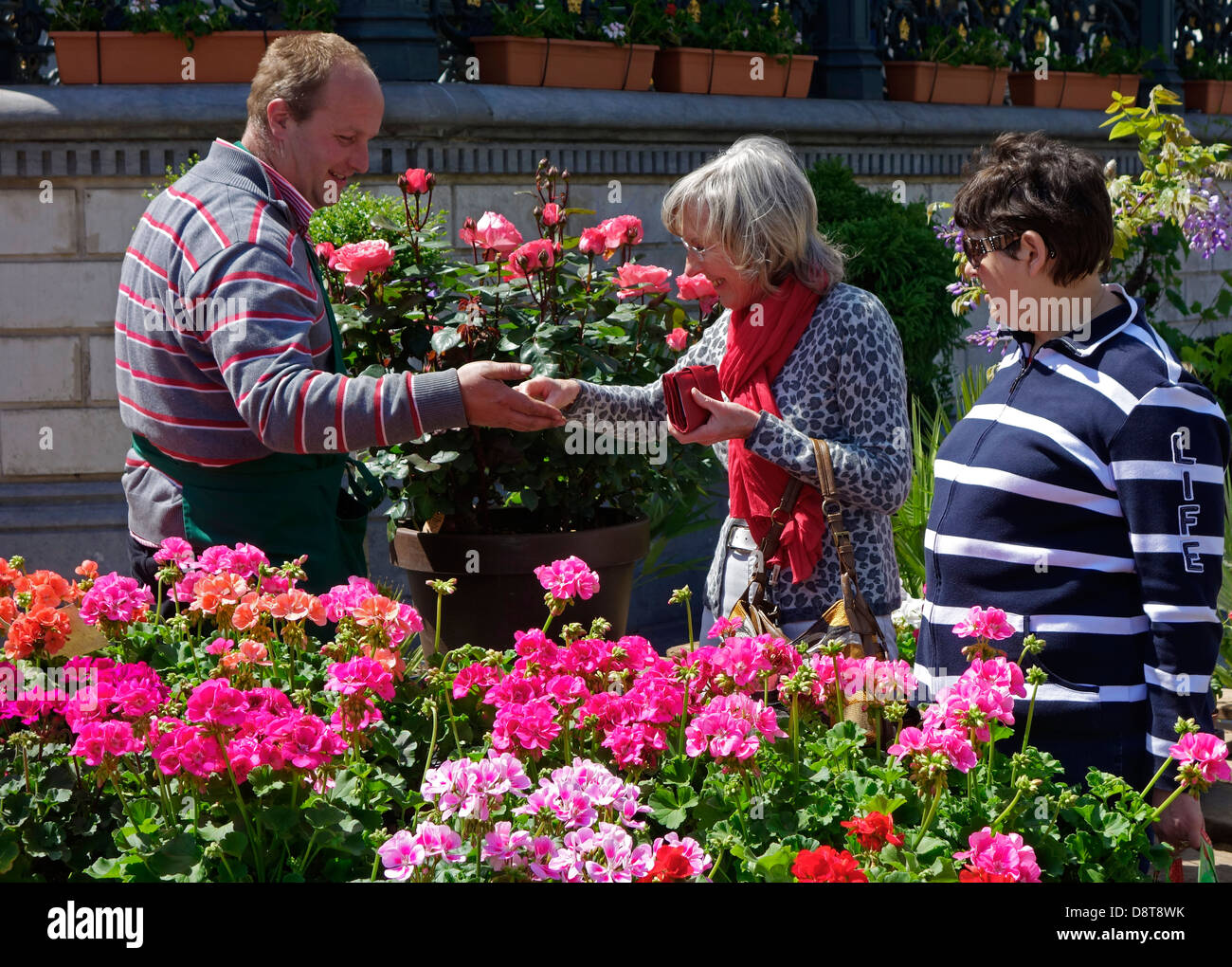 Woman paying stallholder at flower stand for colourful flowers at flower market Stock Photo
