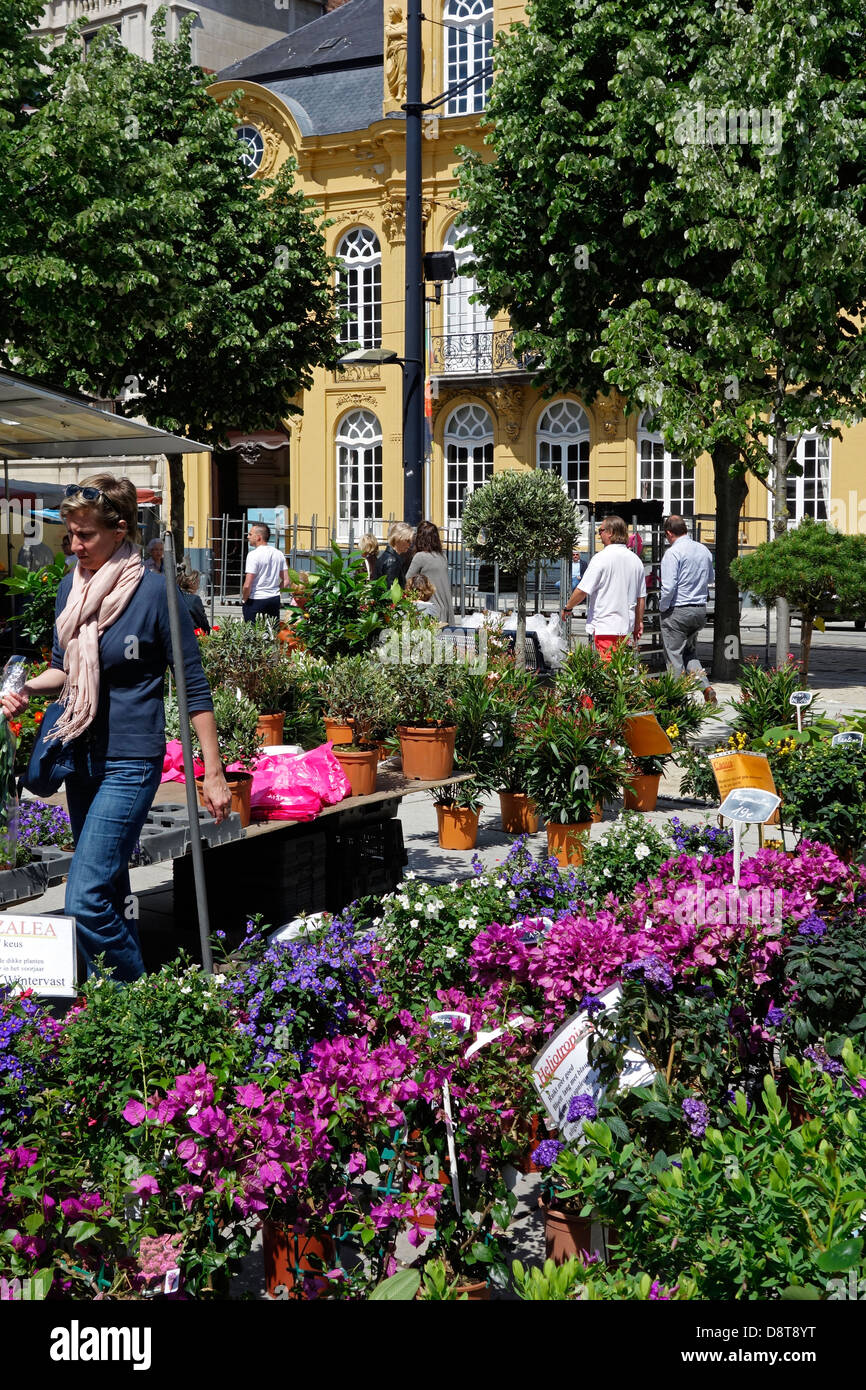 Colourful flowers at the flower market on the Kouter square in Ghent