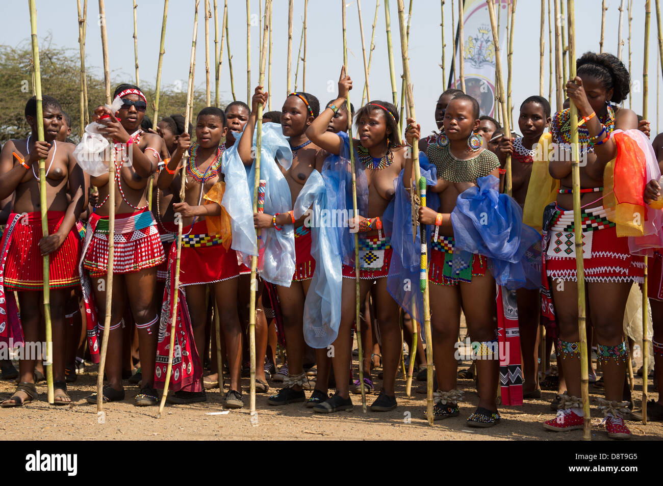 Zulu Maidens Deliver Reed Sticks To The King Zulu Reed Dance At Enyokeni Palace Nongoma South