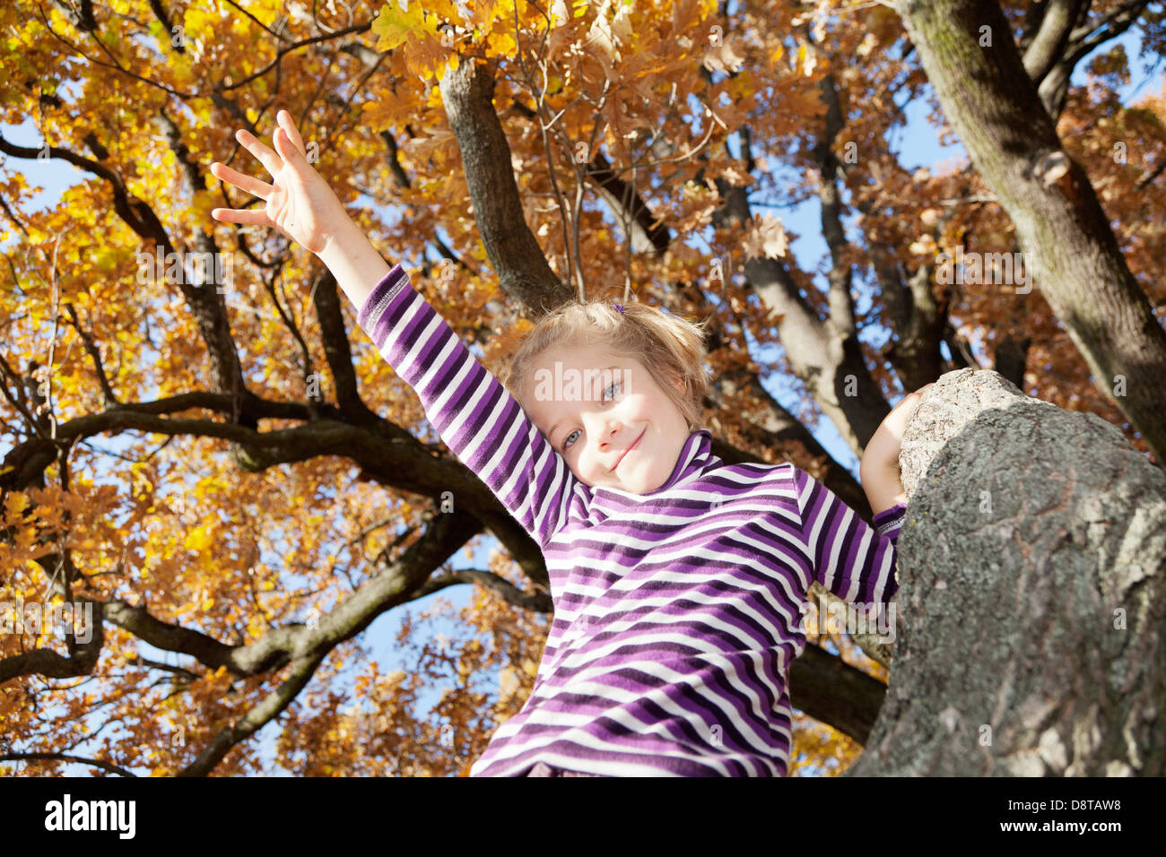 Six year-old girl sitting on a tree in autumn Stock Photo