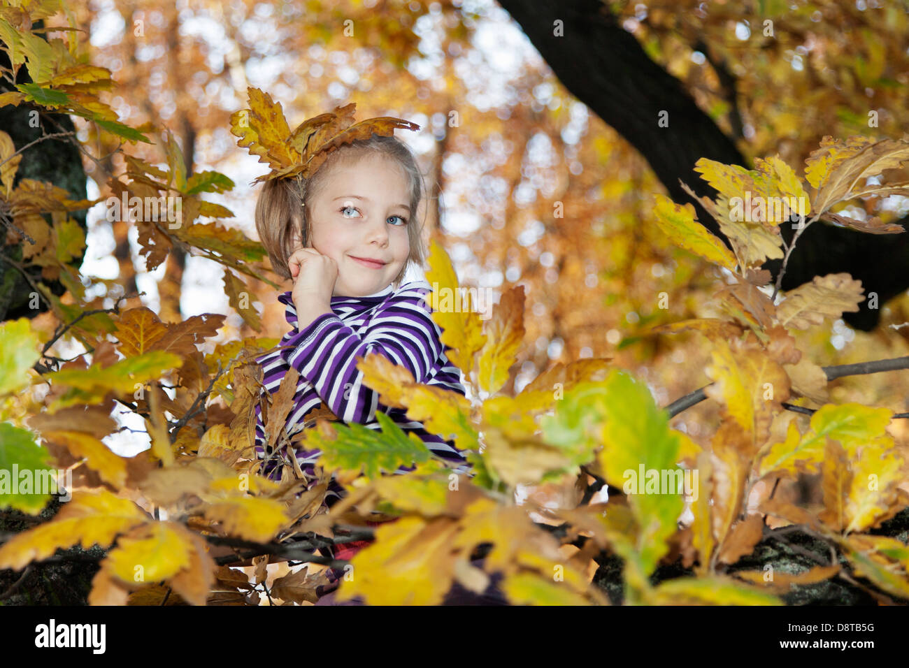 Six year-old girl sitting on a tree in autumn Stock Photo
