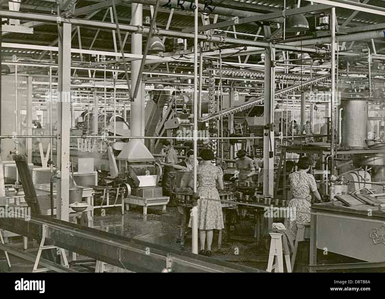 Women working in a cannery Stock Photo