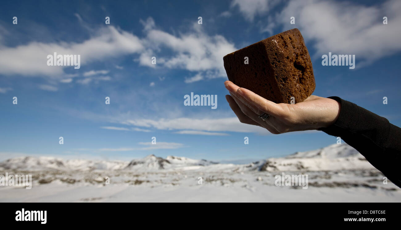 Traditional Icelandic bread cooked underground in geothermal hot