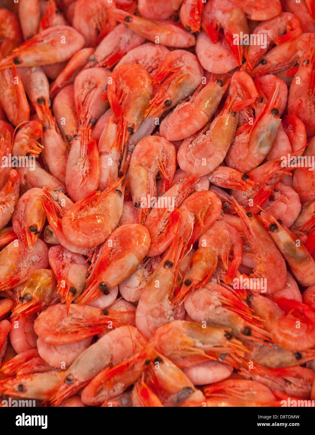 Fresh Shrimp, Bergen Norway Stock Photo