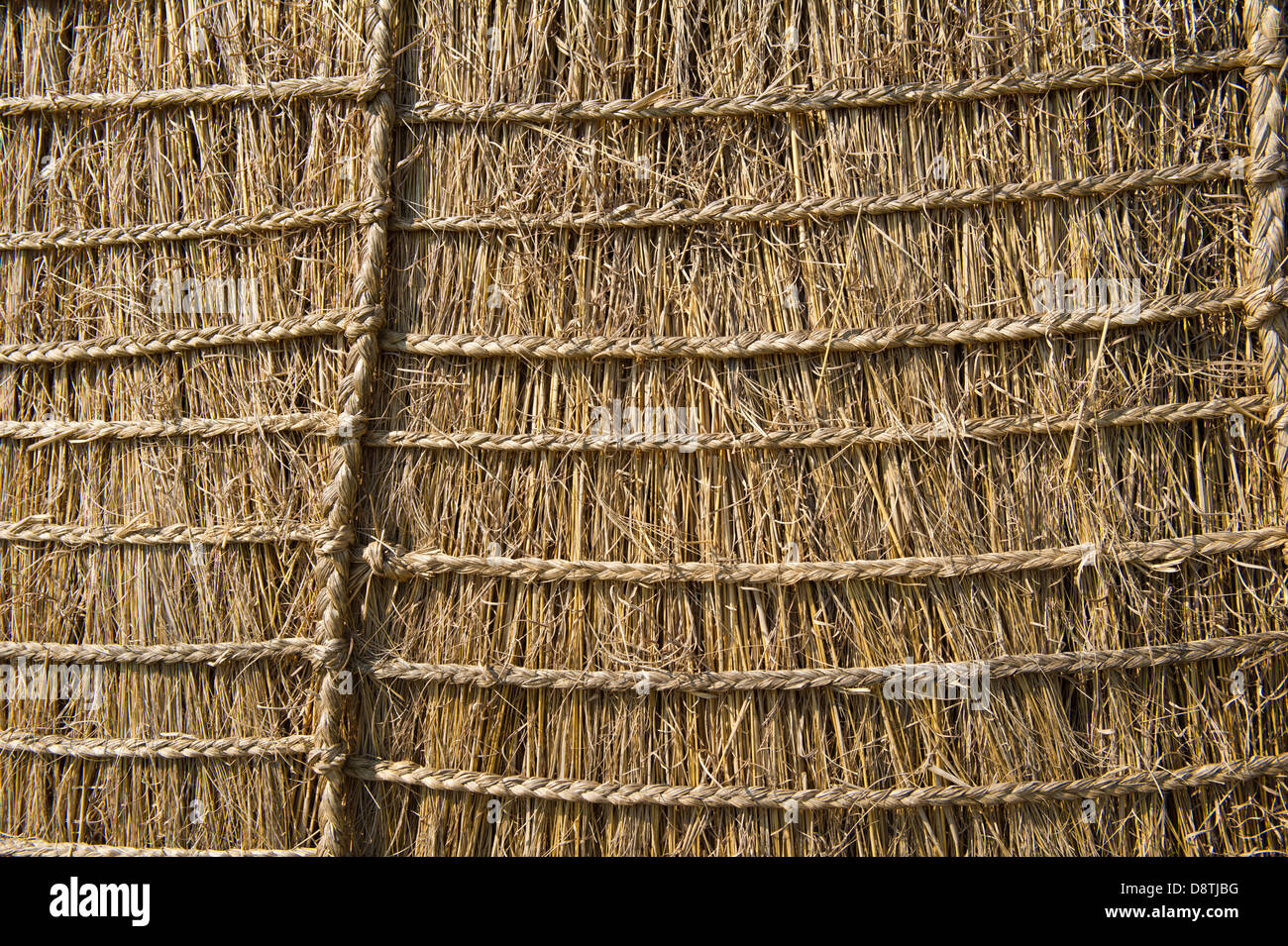Detail of a Zulu hut, Ondini Heritage Site, Ulundi, South Africa Stock Photo