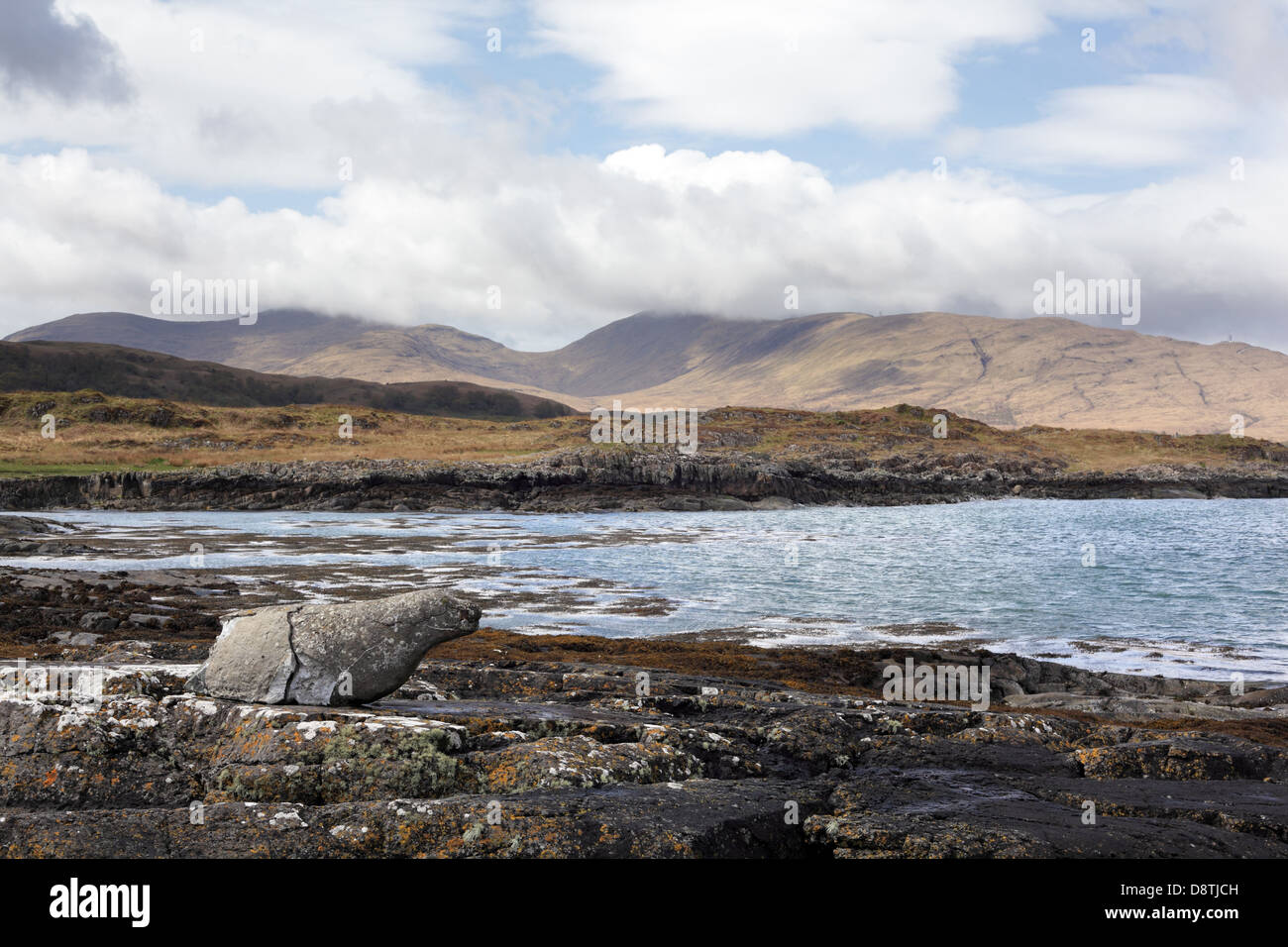 Grasspoint area, Isle of Mull, Scotland, May 2013 Stock Photo - Alamy