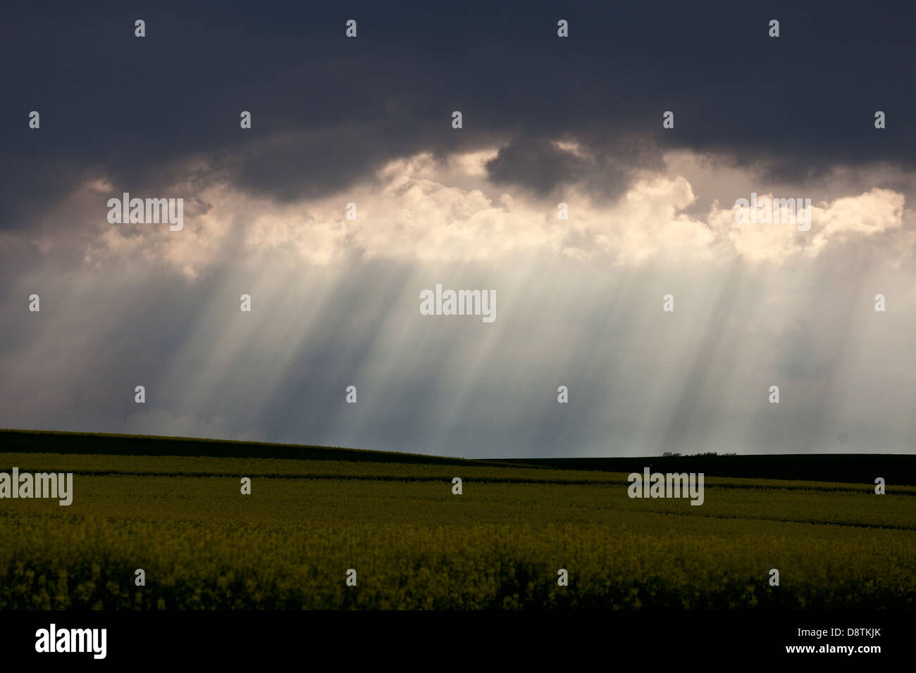 Sunrays through clouds Stock Photo