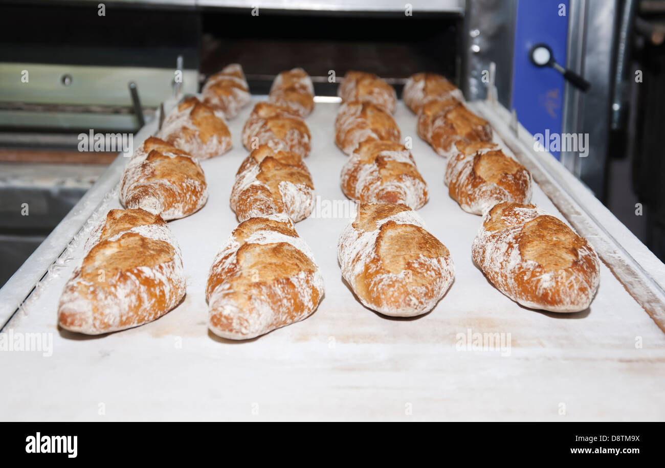different types of freshly baked artisan bread Stock Photo Alamy