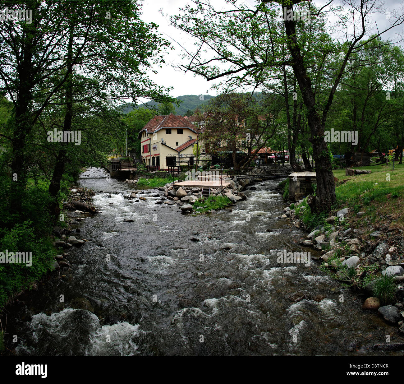 Two small creeks making a small river in front of countryside house surrounded with green trees. Stock Photo