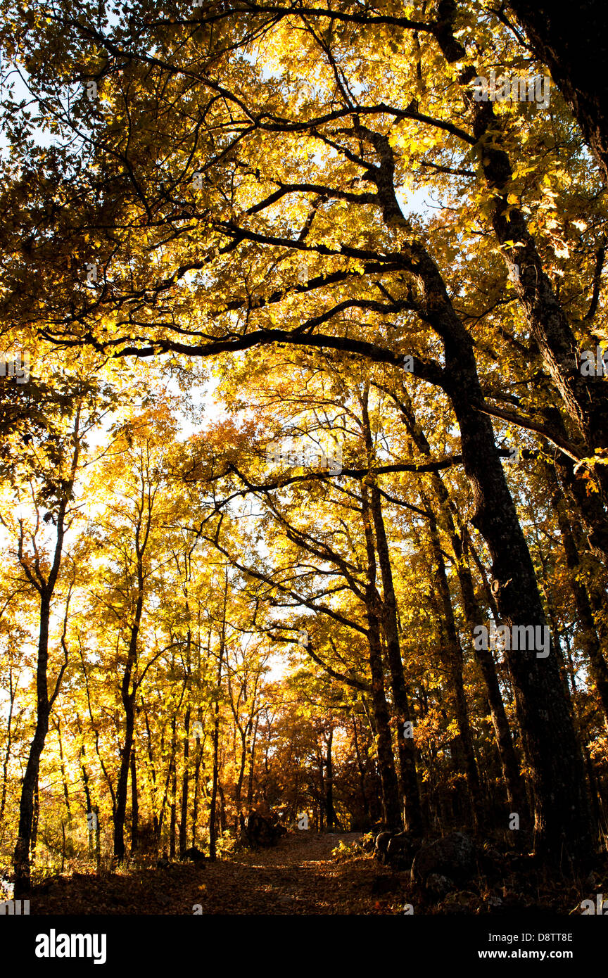 Paisaje hi-res stock photography and images - Alamy