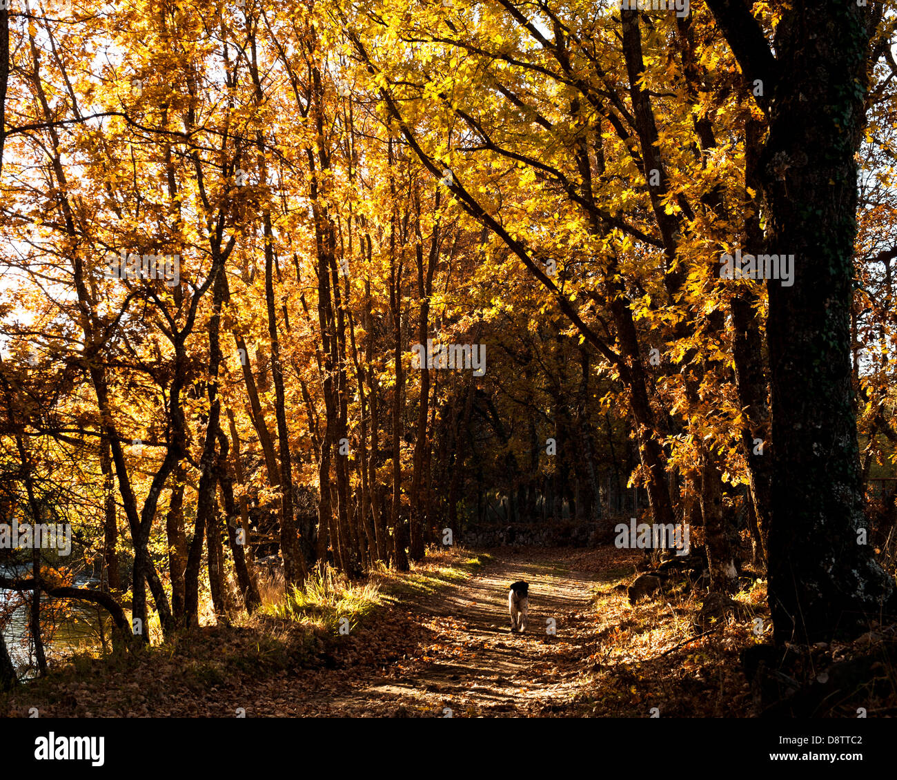 paisaje, landscape, scenery, scene Stock Photo