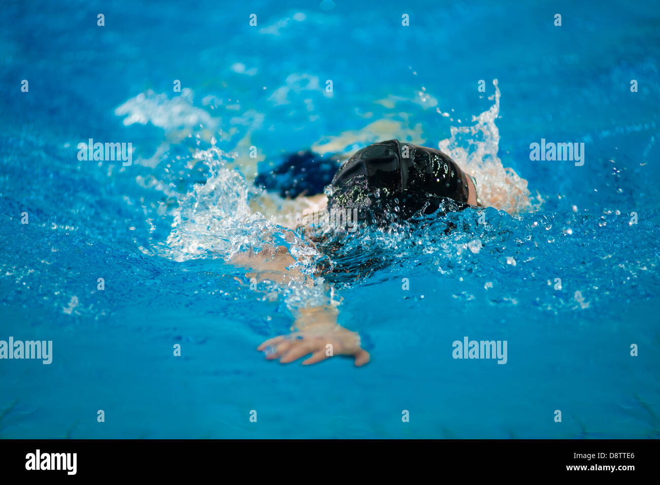 swimmer swims Stock Photo