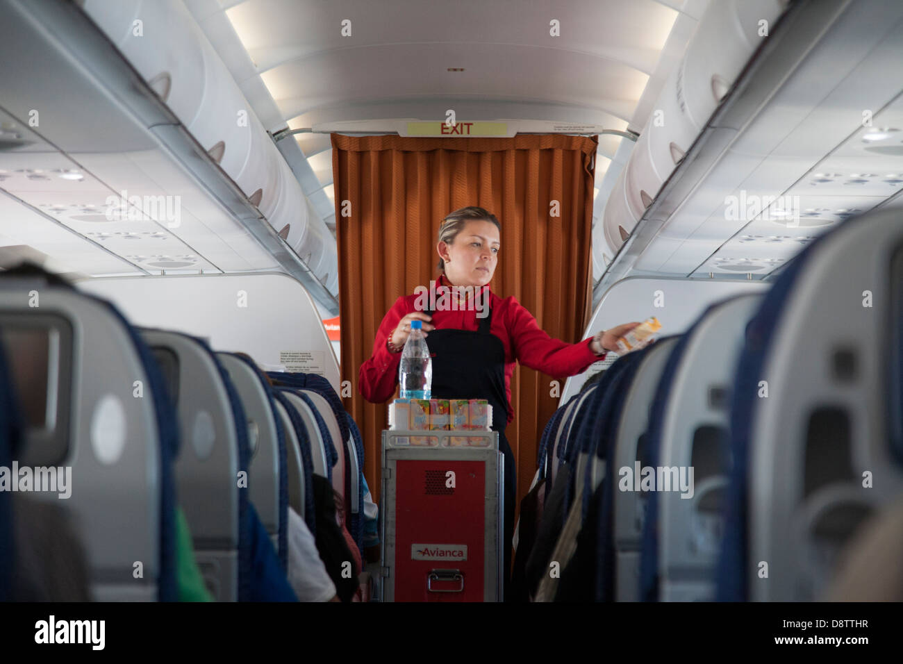 Stewardess serving beverages during flight, Avianca Airlines, Colombia Stock Photo