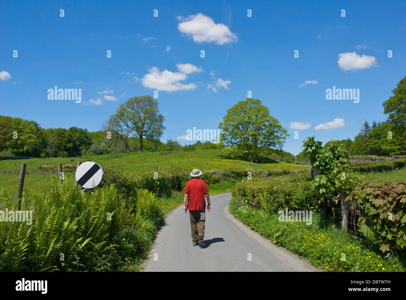 Senior man walking along country road in South Lakeland, Cumbria, England UK Stock Photo