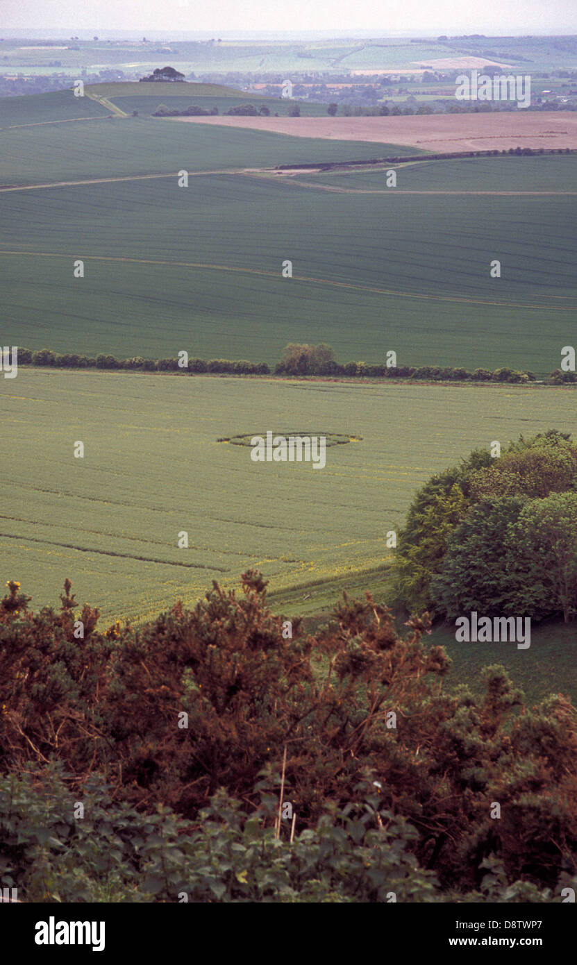 small crop circle seen from hills near Alton Barns, Wiltshire Stock Photo