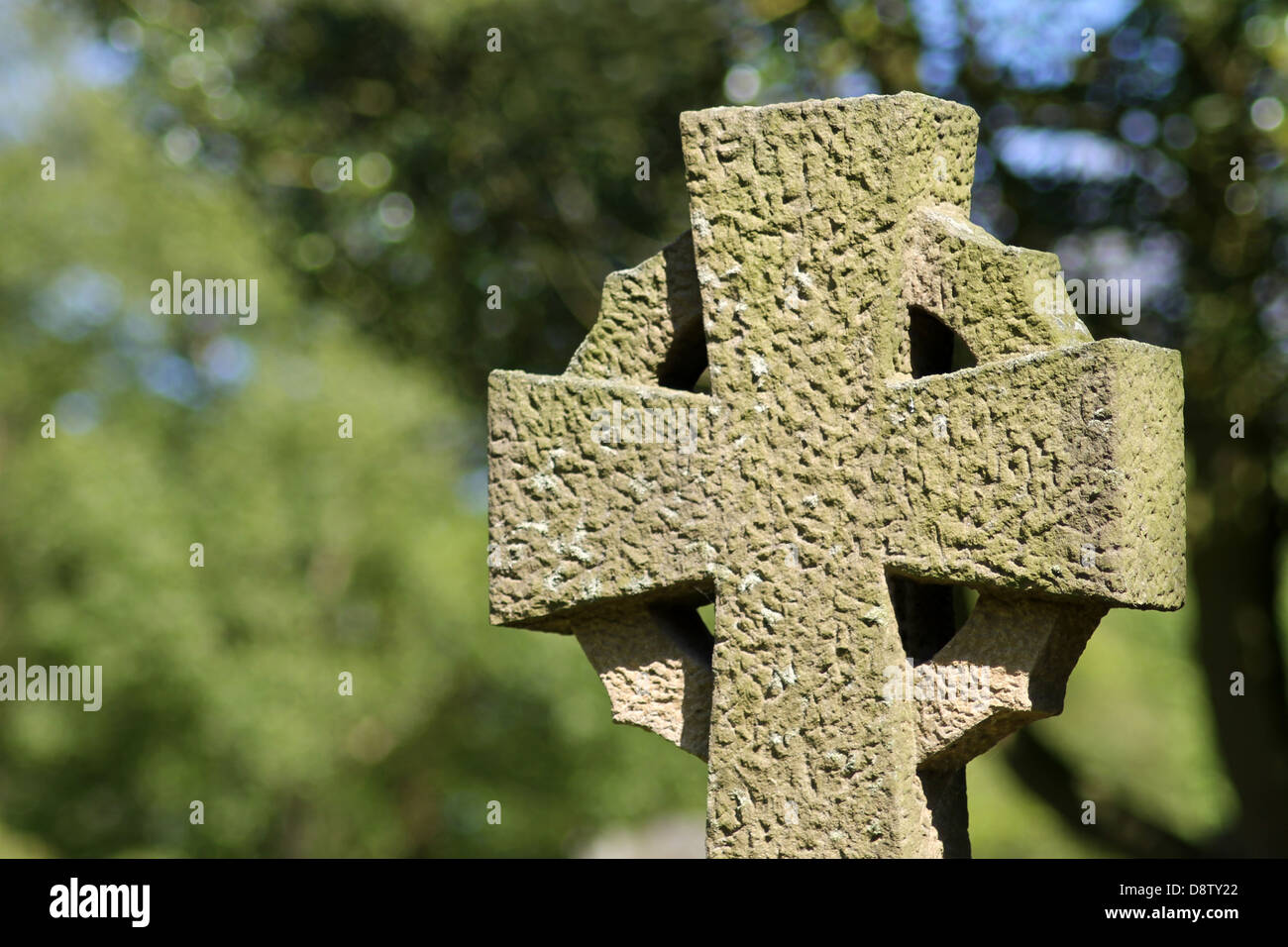 Celtic cross in cemetery with leafy green background. Stock Photo