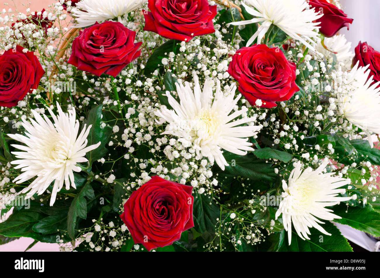 red roses and white chrysanthemums Stock Photo