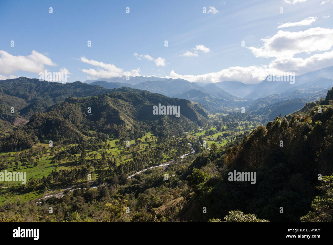 Cocora Valley, Acaime Natural Reserve, Salento, Colombia Stock Photo
