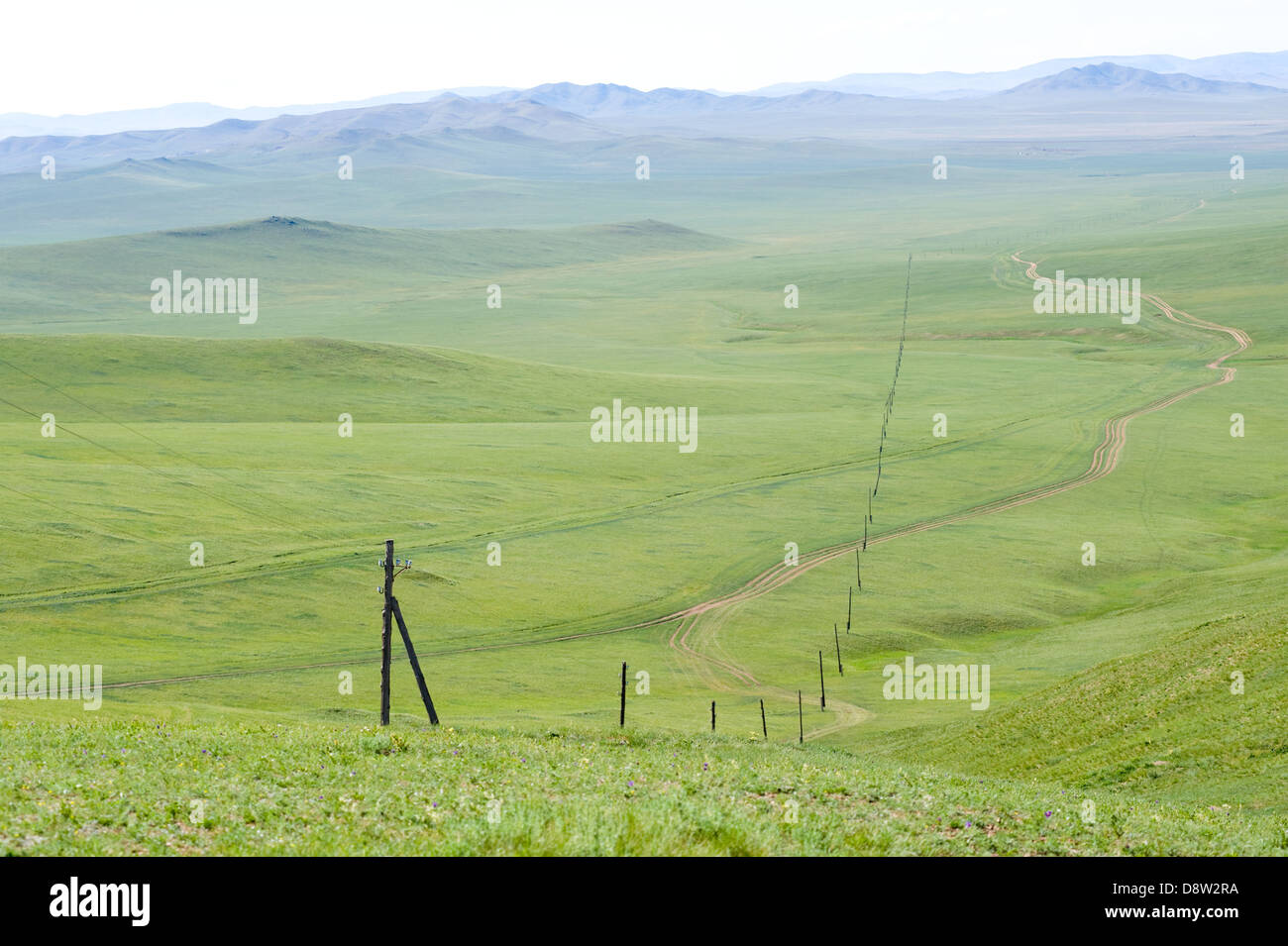 electric line in green steppe Stock Photo