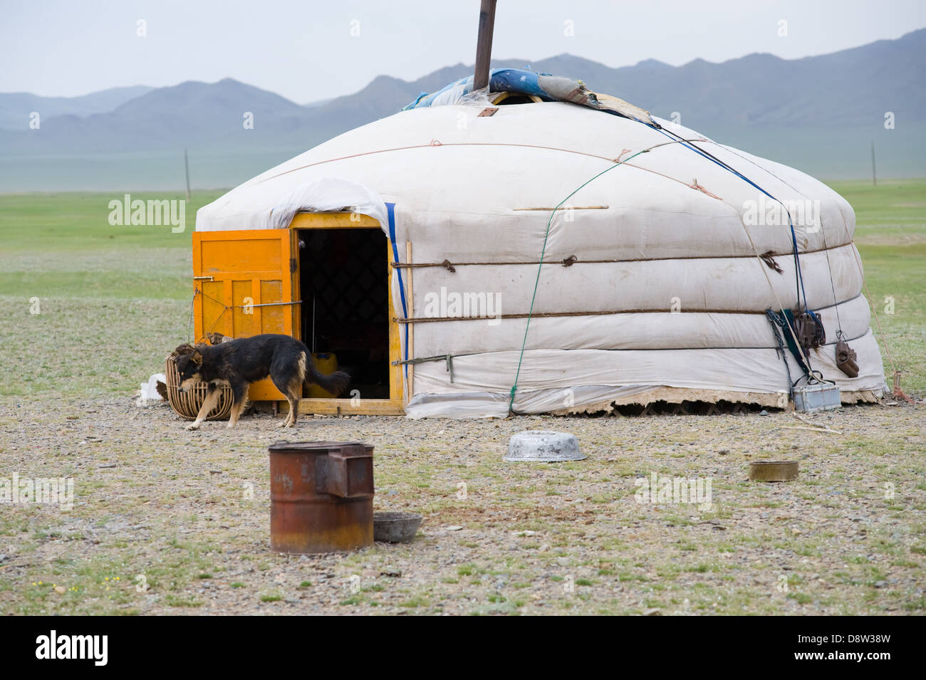 Mongolian yurta in steppe Stock Photo