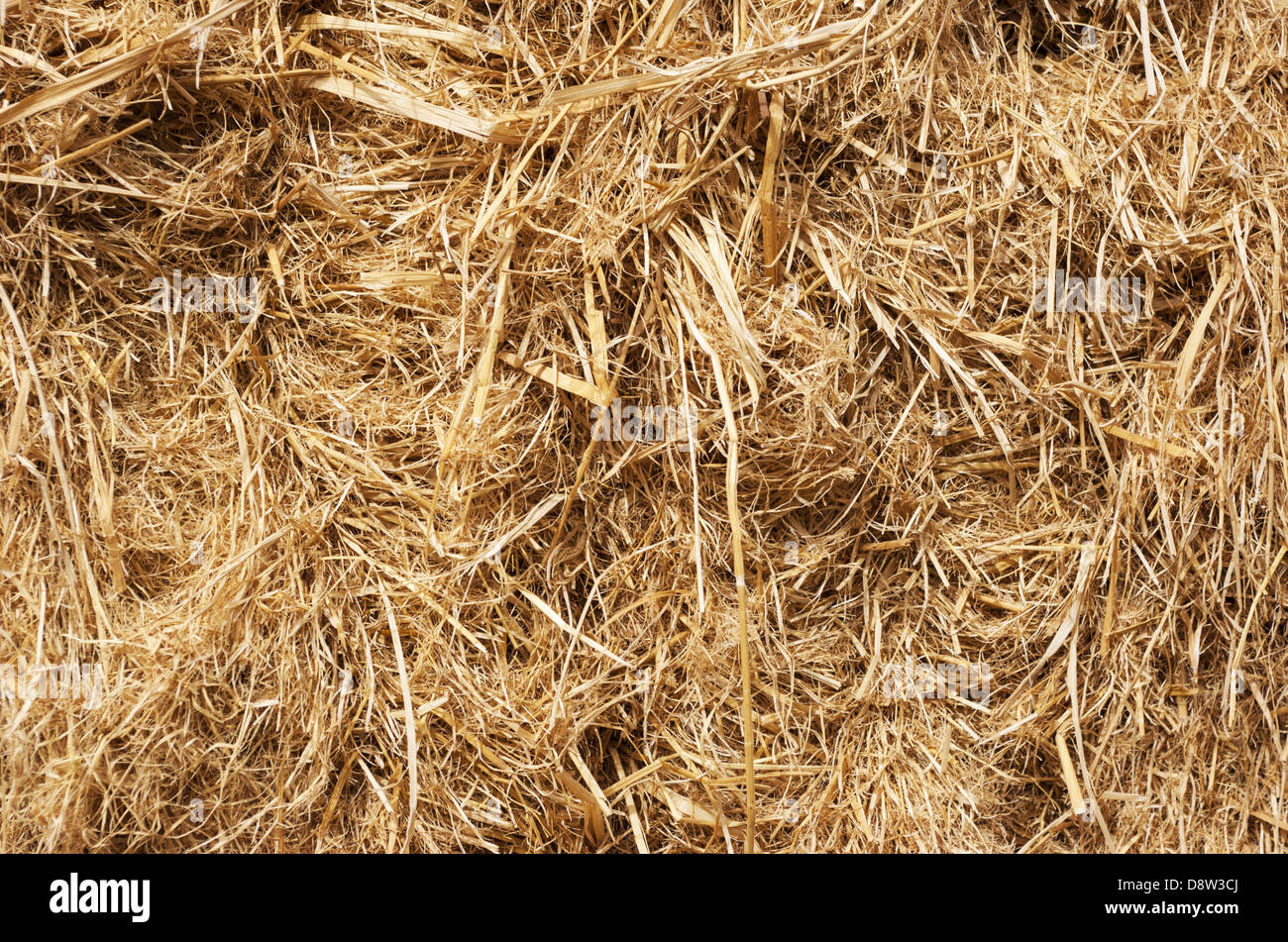 Dry straw texture Stock Photo Alamy