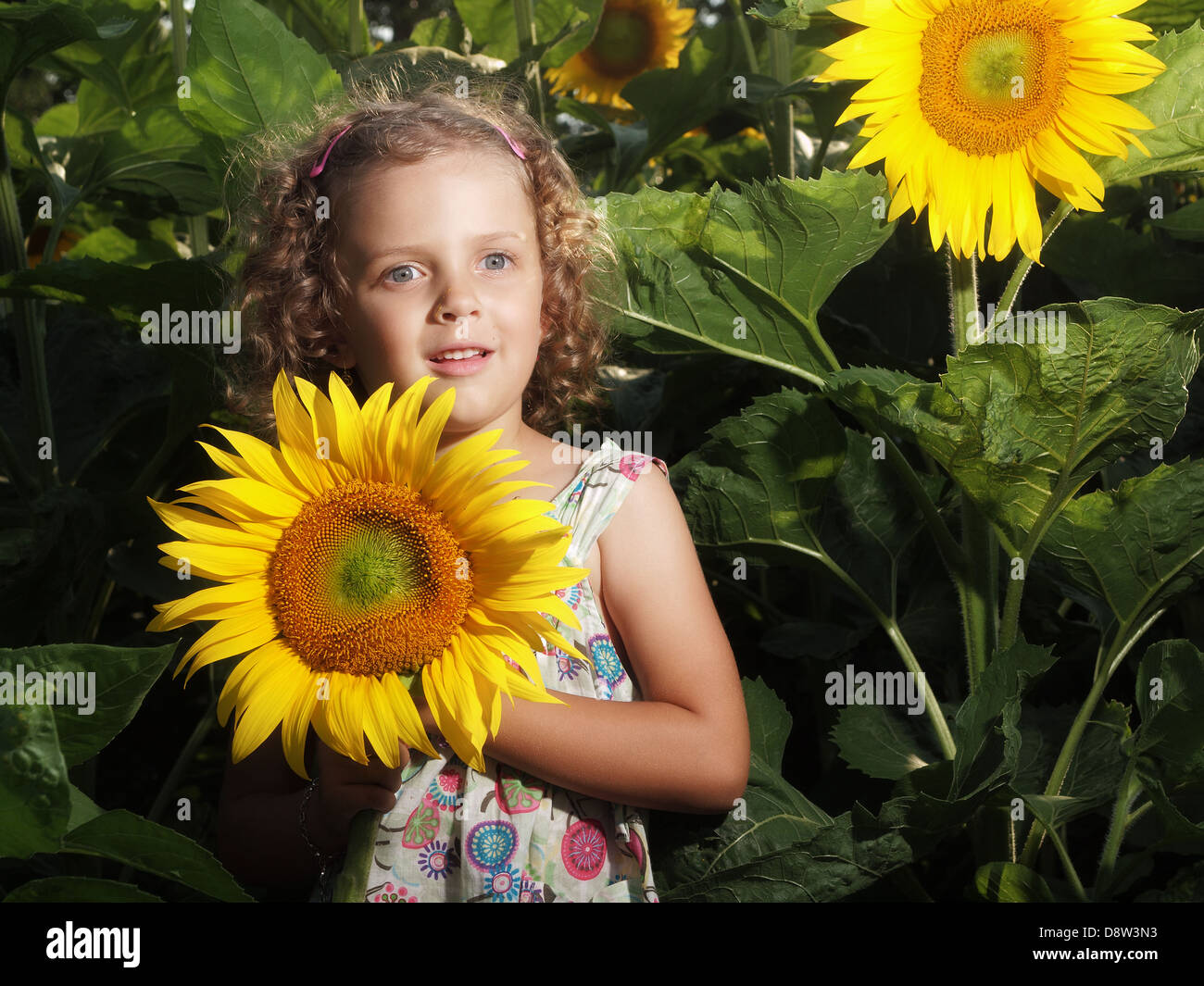 Girl with sunflower Stock Photo - Alamy