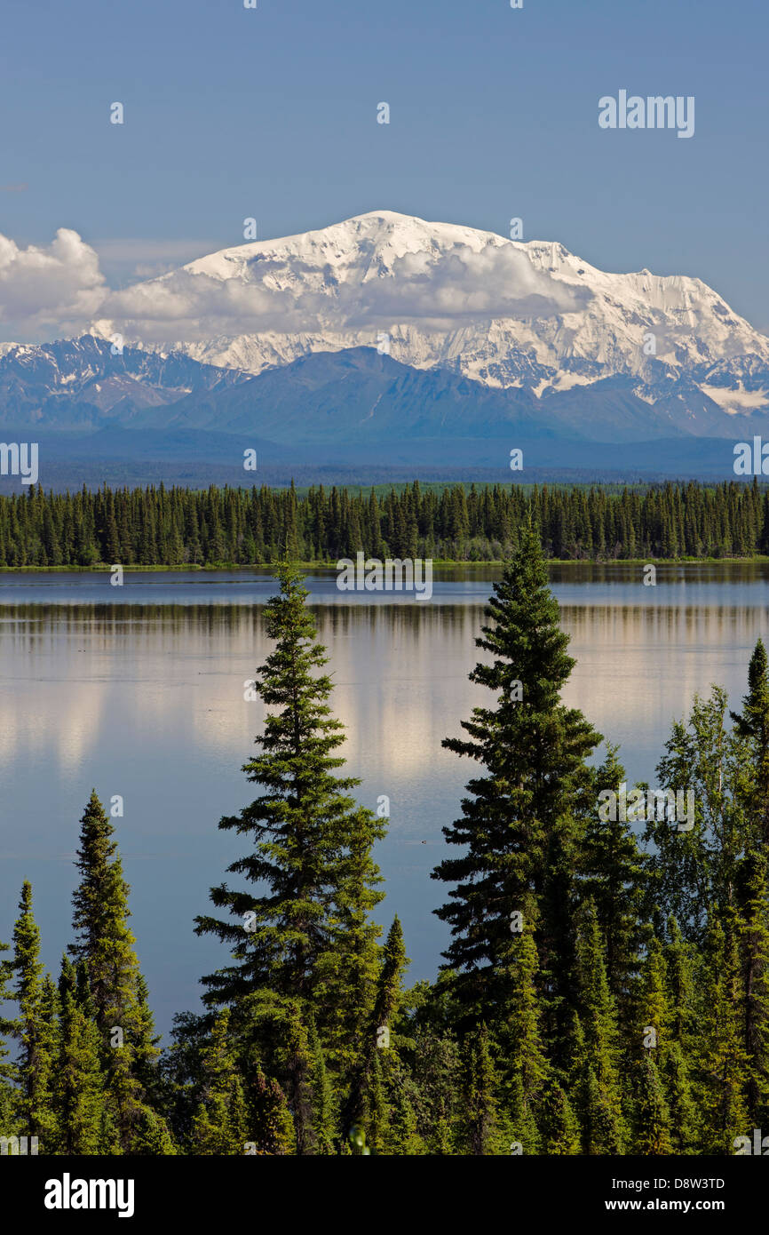 Willow alaska hi-res stock photography and images - Alamy