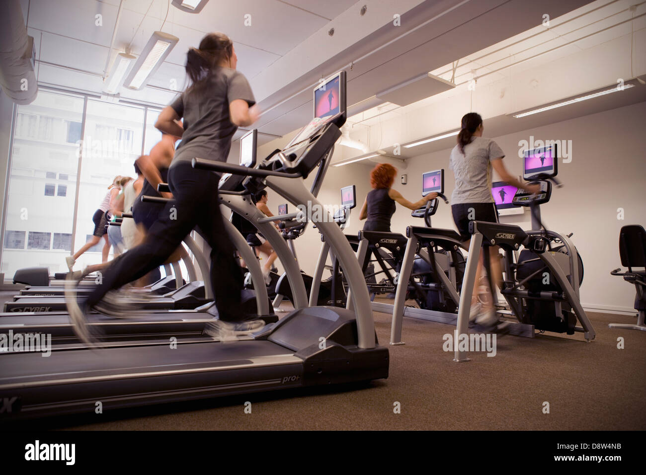People running on treadmills in the cardio room in a gymnasium