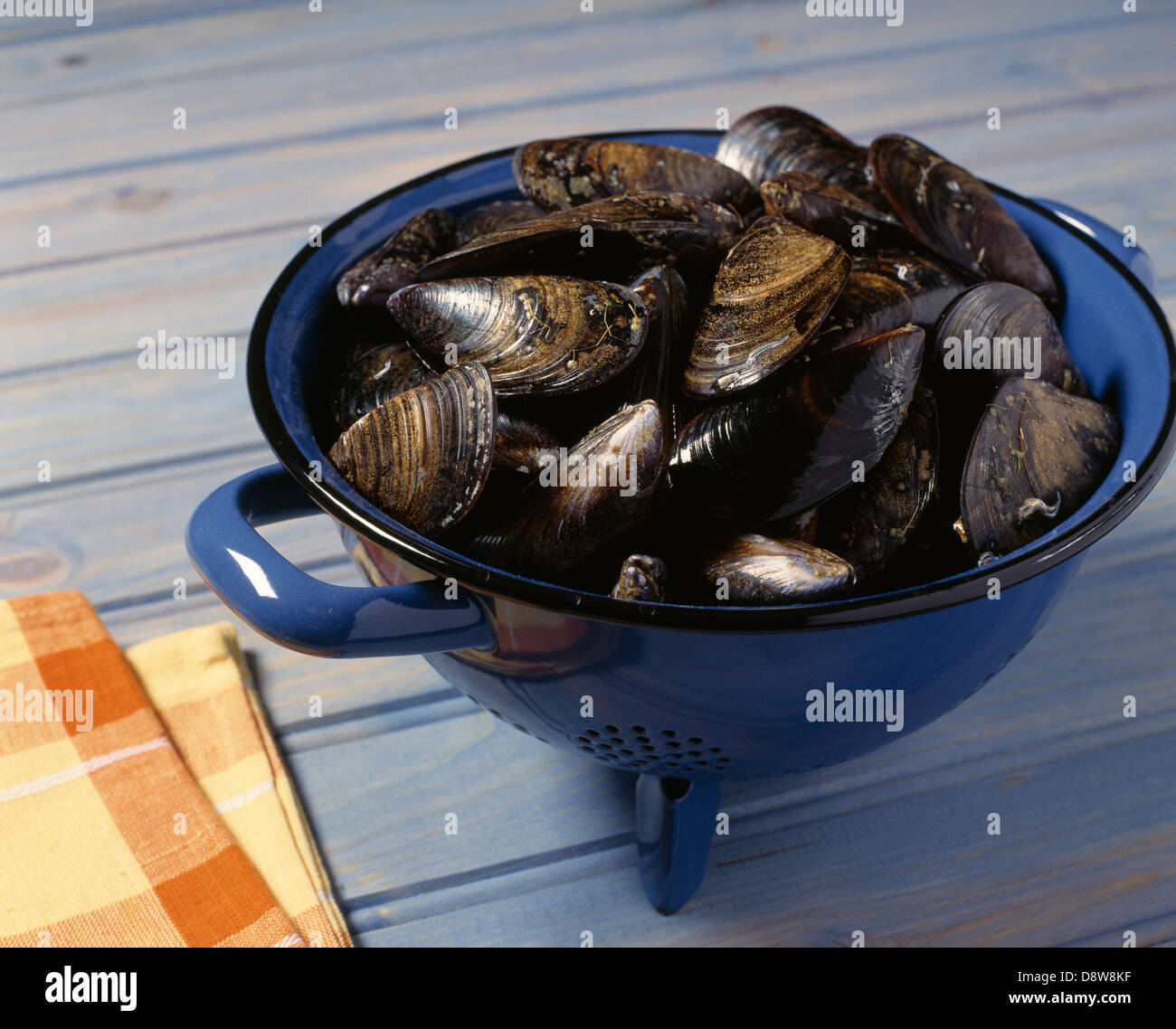 Clean and wash the mussels Stock Photo Alamy