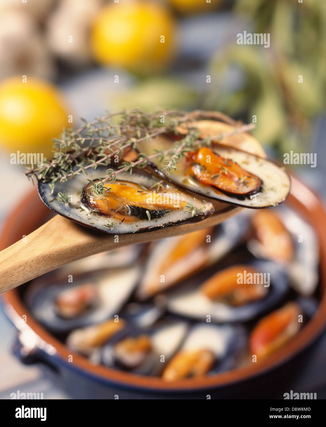 Mussels in creamy thyme sauce Stock Photo Alamy