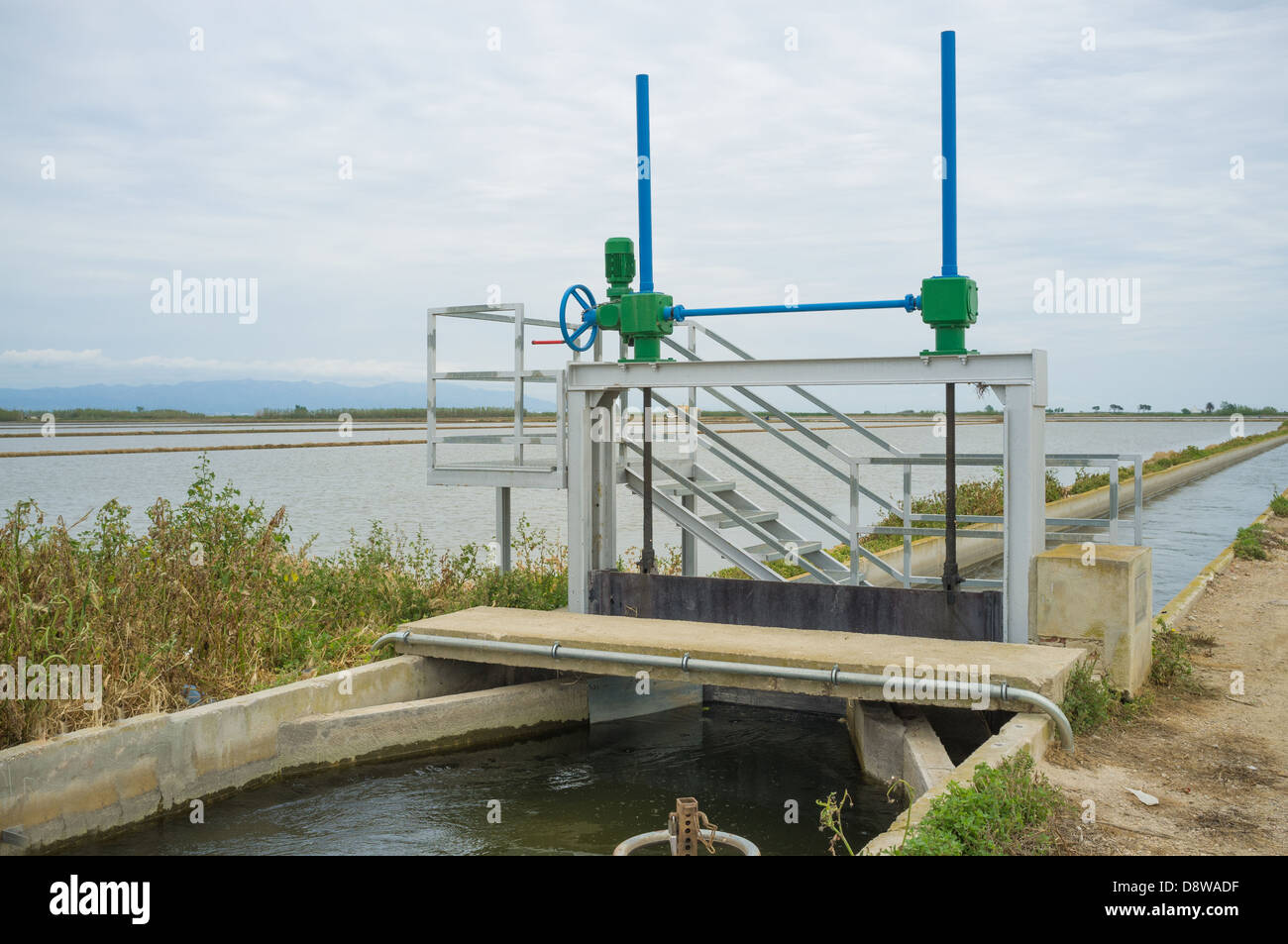 Agriculturla sluicegate running across irrigated rice plantations Stock ...