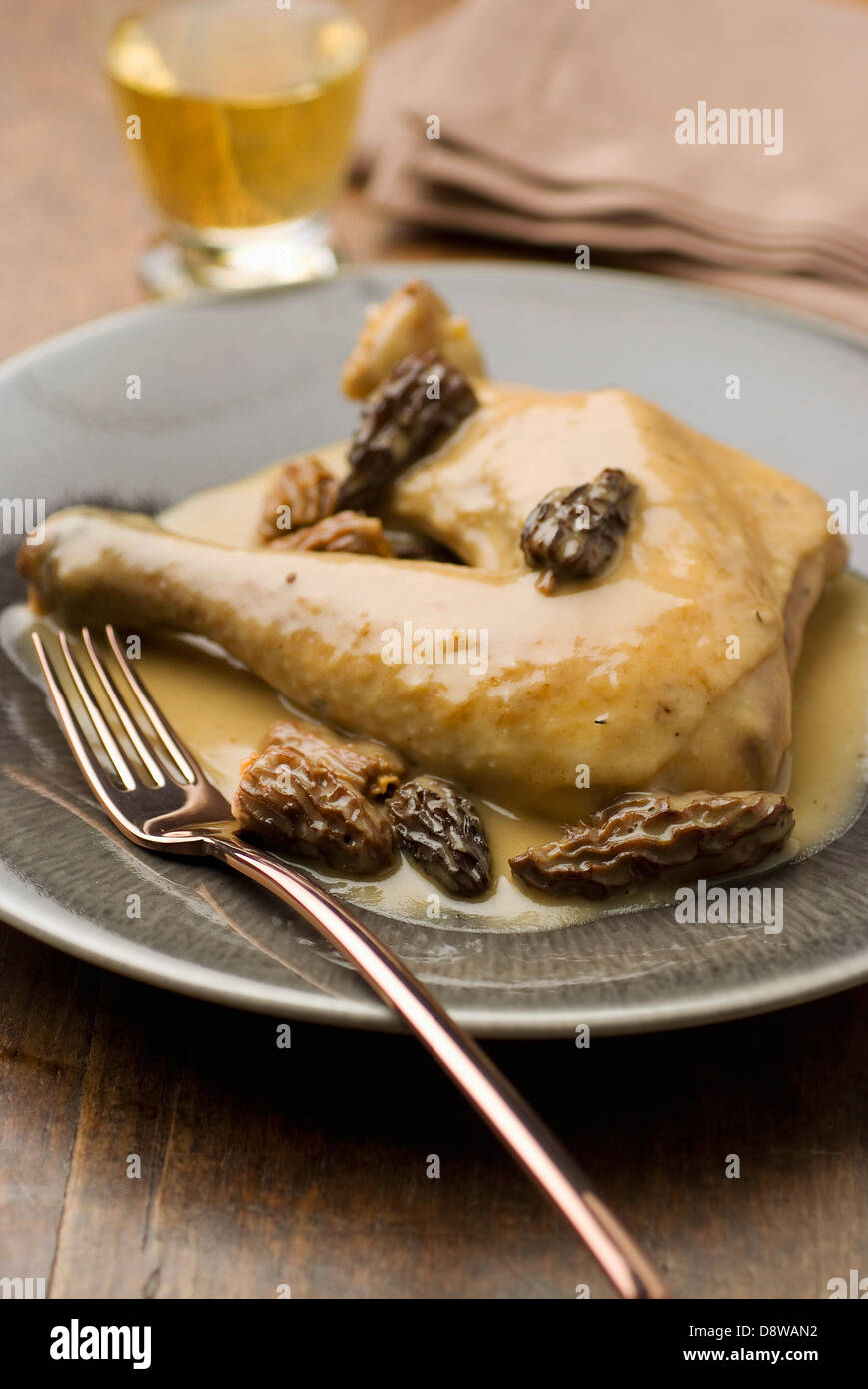 Chicken in creamy morel sauce Stock Photo Alamy