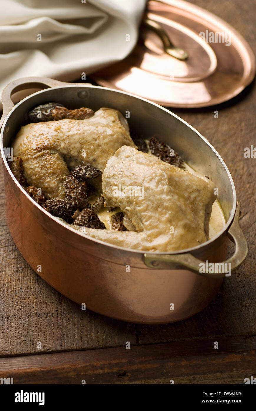 Chicken in creamy morel sauce Stock Photo Alamy