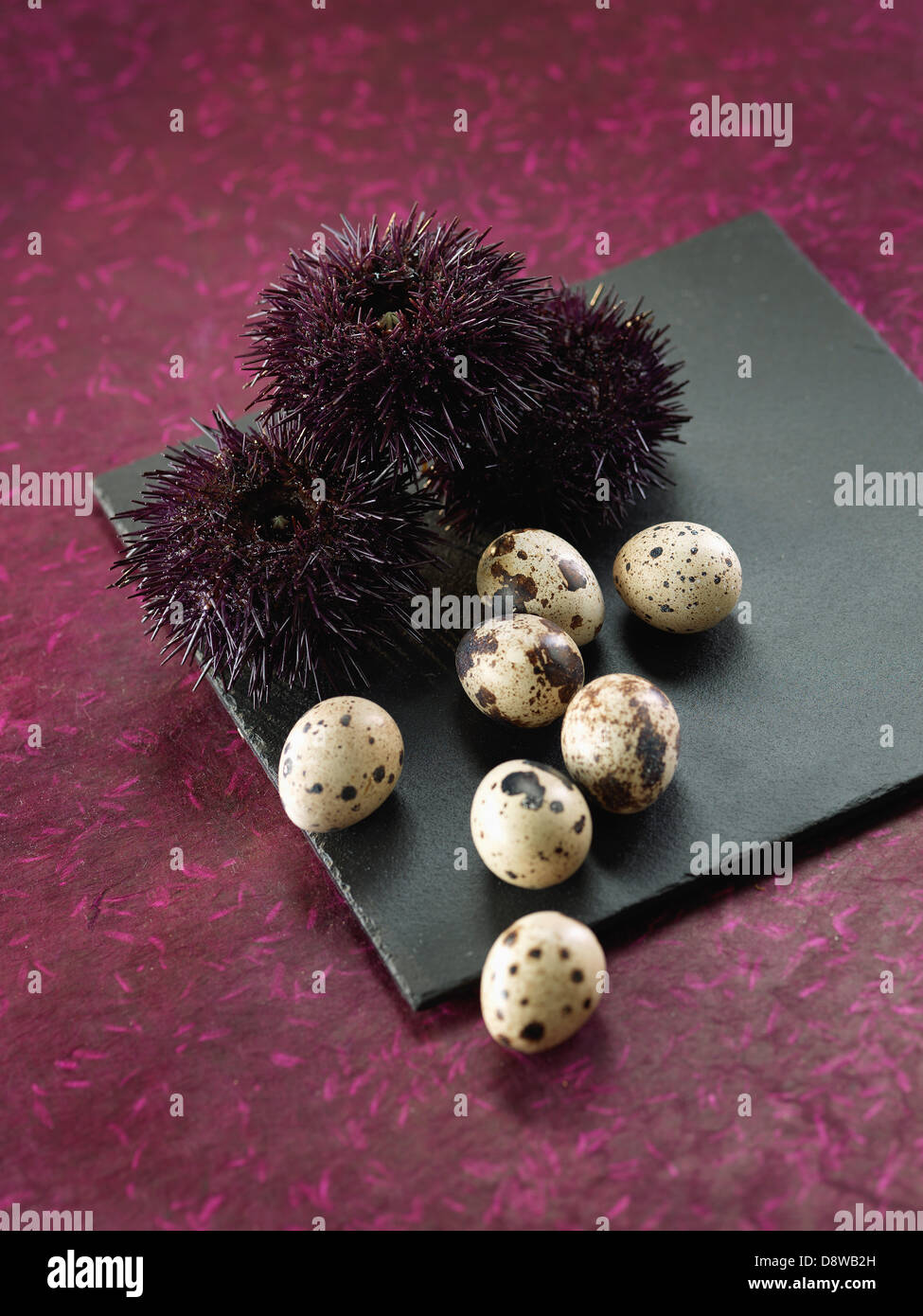 Sea urchin eggs hires stock photography and images Alamy