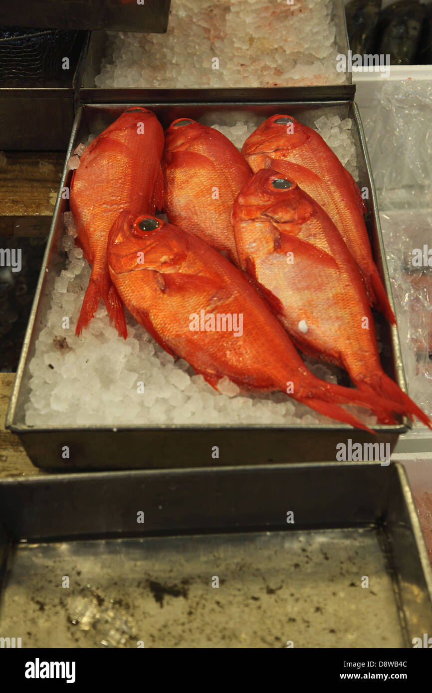 Raw red fish Stock Photo