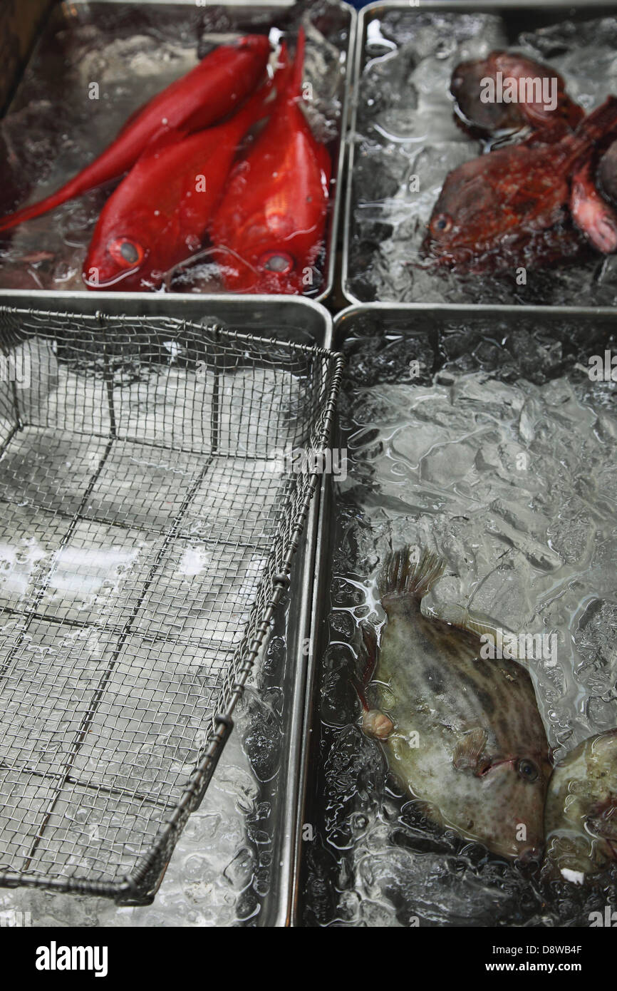 Fish in ice-trays Stock Photo
